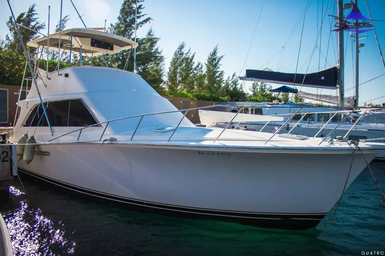 Ocean Yacht 48 Ft · Foto 1