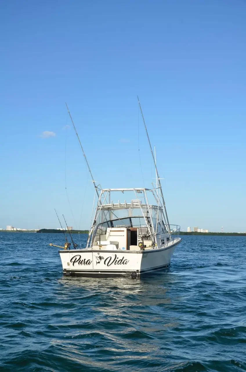 BERTRAM 35 Ft · Foto 2