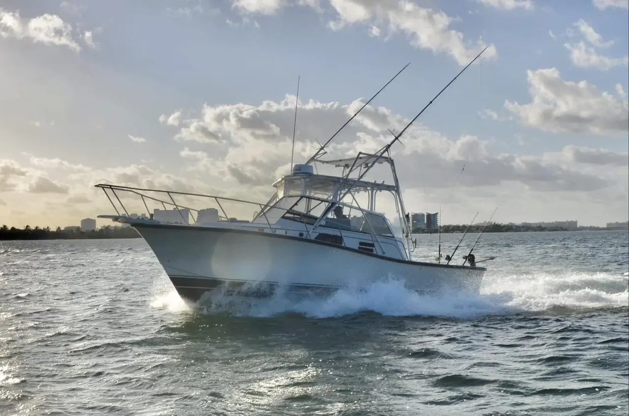BERTRAM 35 Ft · Foto 3
