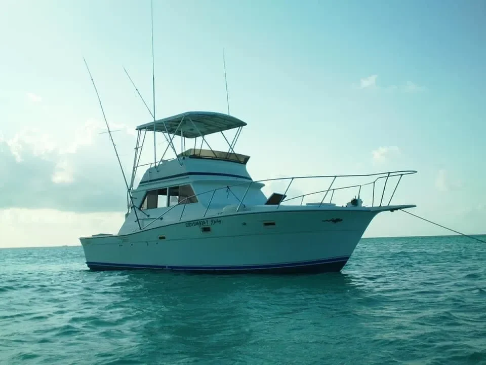 Viking 35 Ft · Foto 1