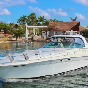 12. SeaRay 60 "