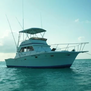 33.-Viking 35 Ft Up to 8 people
