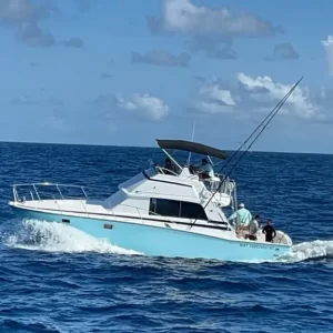 29.-Bertram 40 Ft Up to 12 people